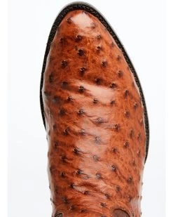 El Dorado Men's Exotic Full-Quill Ostrich Skin Western Boots - Medium Toe -Ariat Store 2000350240 235 P6